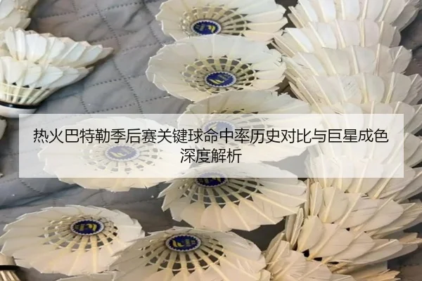 热火巴特勒季后赛关键球命中率历史对比与巨星成色深度解析