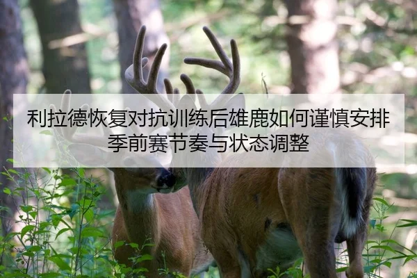 利拉德恢复对抗训练后雄鹿如何谨慎安排季前赛节奏与状态调整